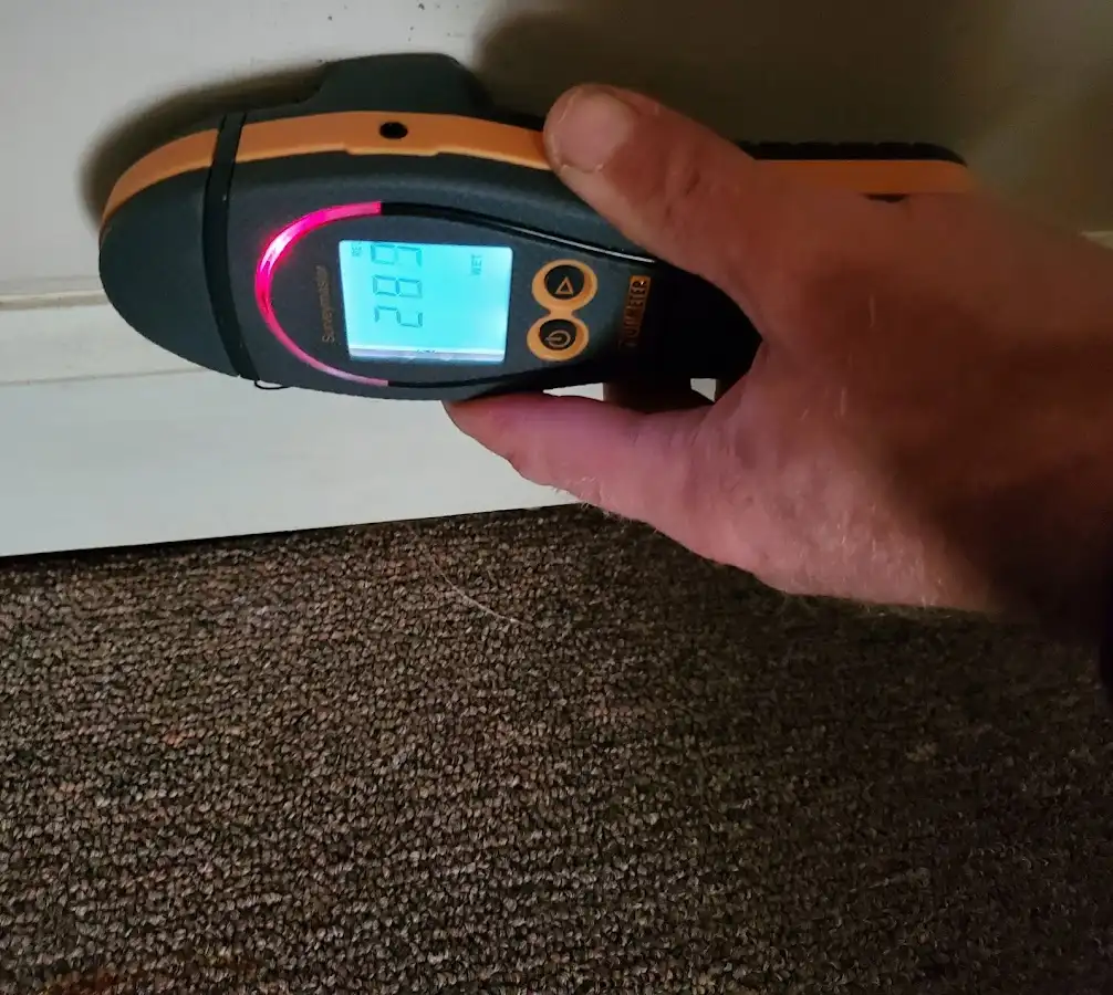 Moisture detection at baseboard during Sewage Cleanup & Sanitation in Clinton